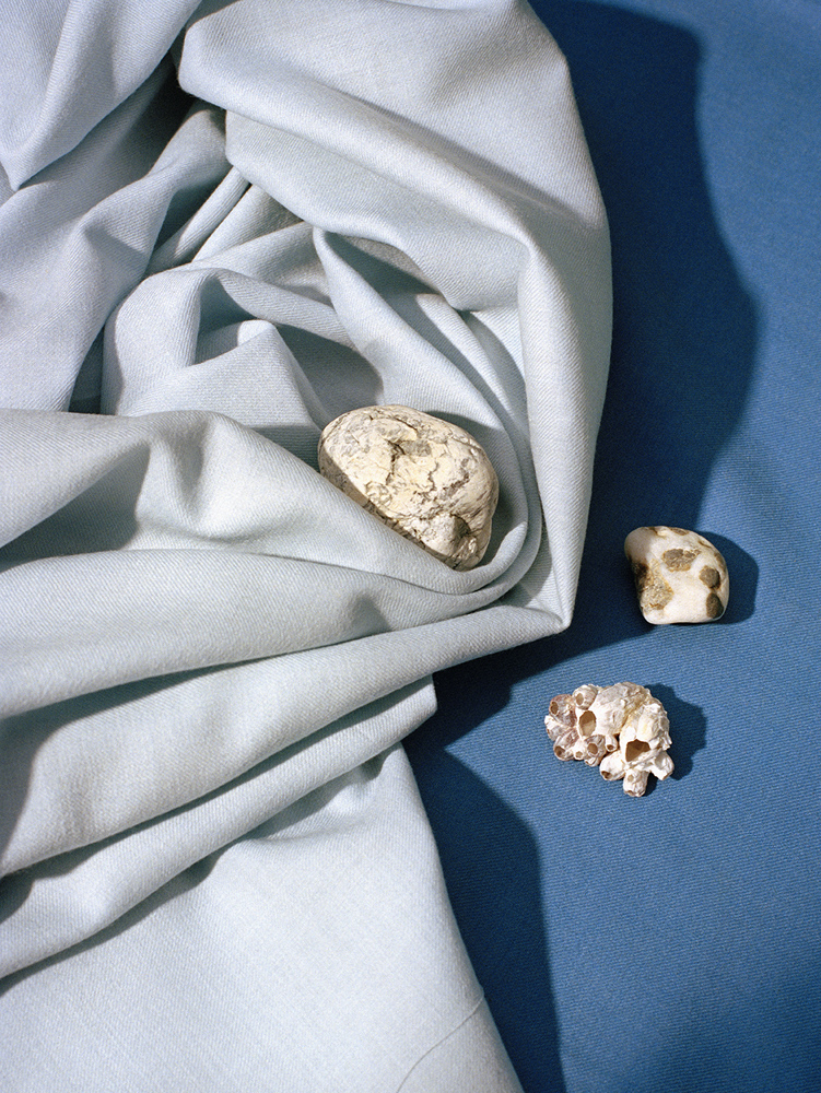 Doing Bird - Photography by VICTORIA ZSCHOMMLER